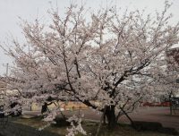 クリックすると拡大します。