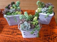 かわいい作品ができました