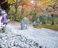 光明禅寺の石庭